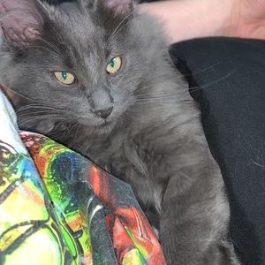 Meet your Posher, Maude